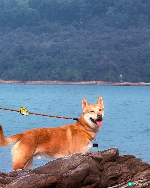 輕鬆行山2小時！⛰️ 沿海靚景🤤 