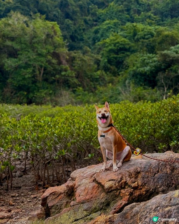 輕鬆行山2小時！⛰️ 沿海靚景🤤 