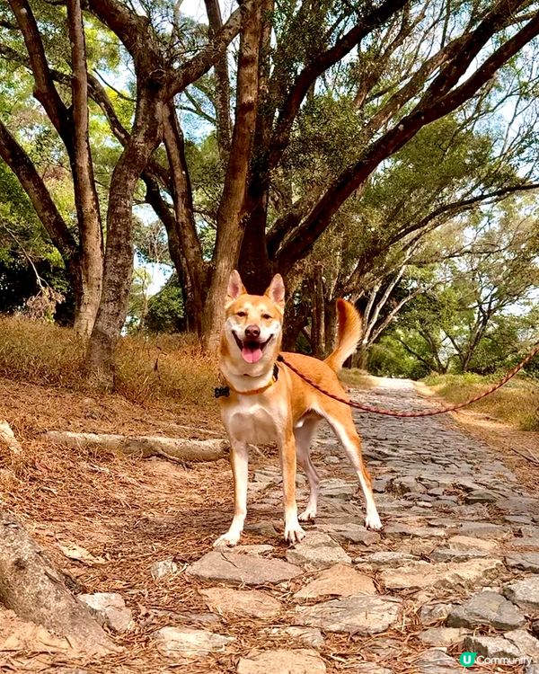 輕鬆行山2小時！⛰️ 沿海靚景🤤 