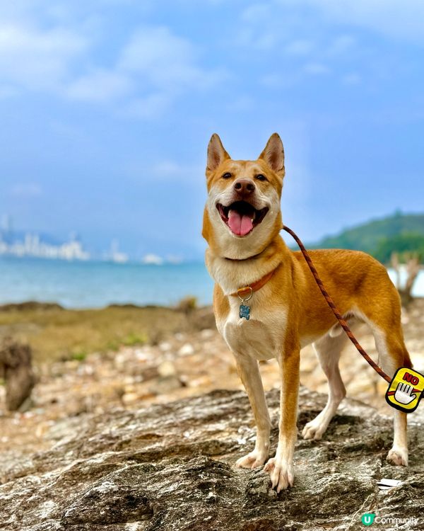 輕鬆行山2小時！⛰️ 沿海靚景🤤 