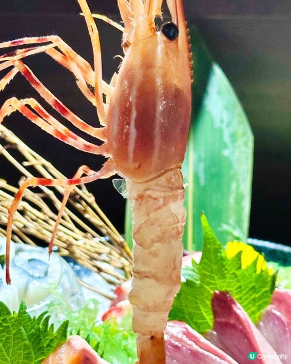 尖東高質日式自家料理