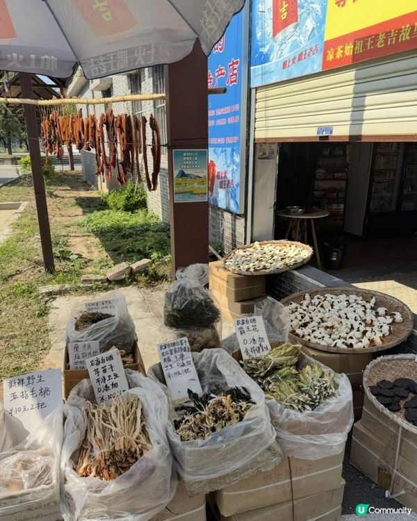 江門詠春宗師故居探館之旅