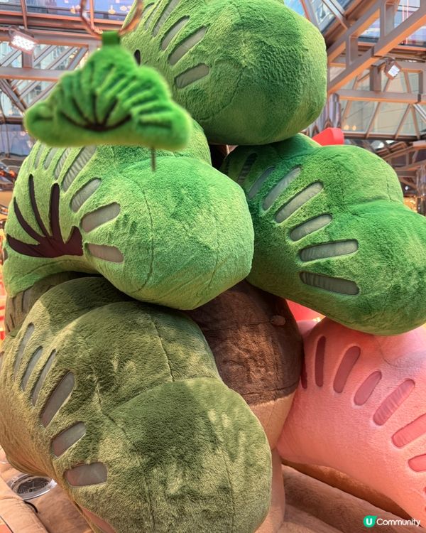 福運松林@太古城中心