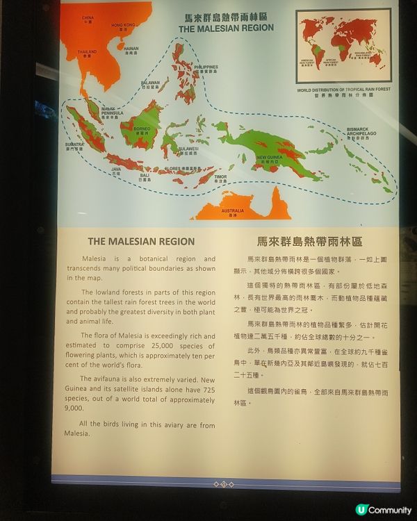 鳥園奇遇記🌳🐦