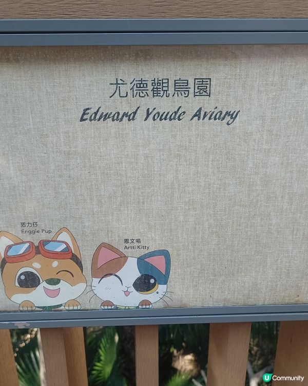 鳥園奇遇記🌳🐦