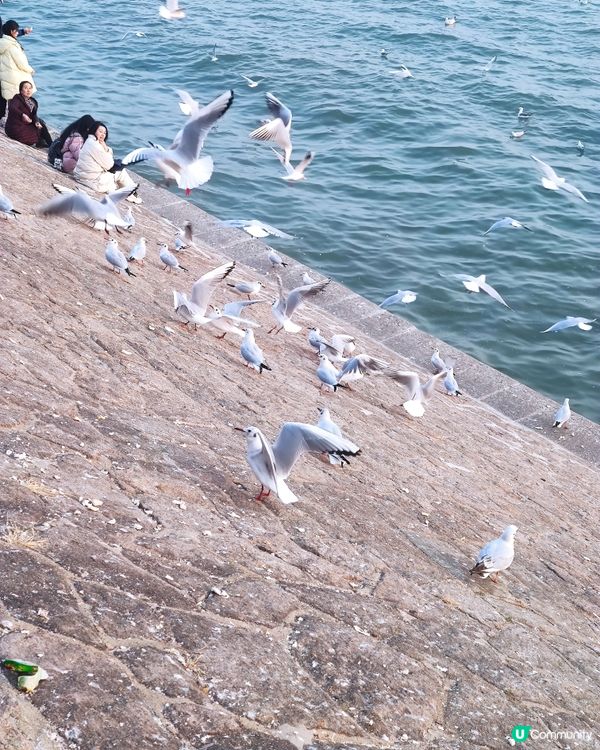 青島靚到癲！🌊🍻💯