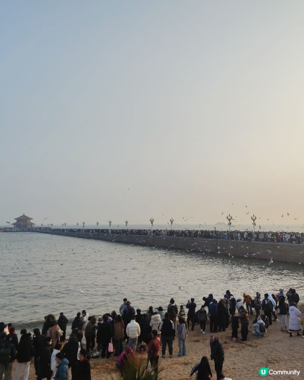 青島靚到癲！🌊🍻💯