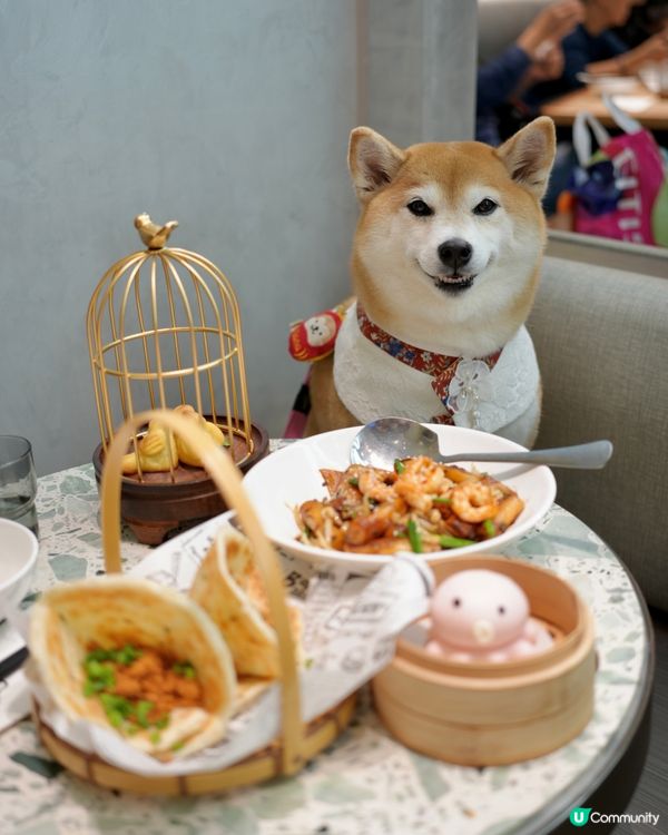 🍲新年飲茶之選 - 自己人🫖