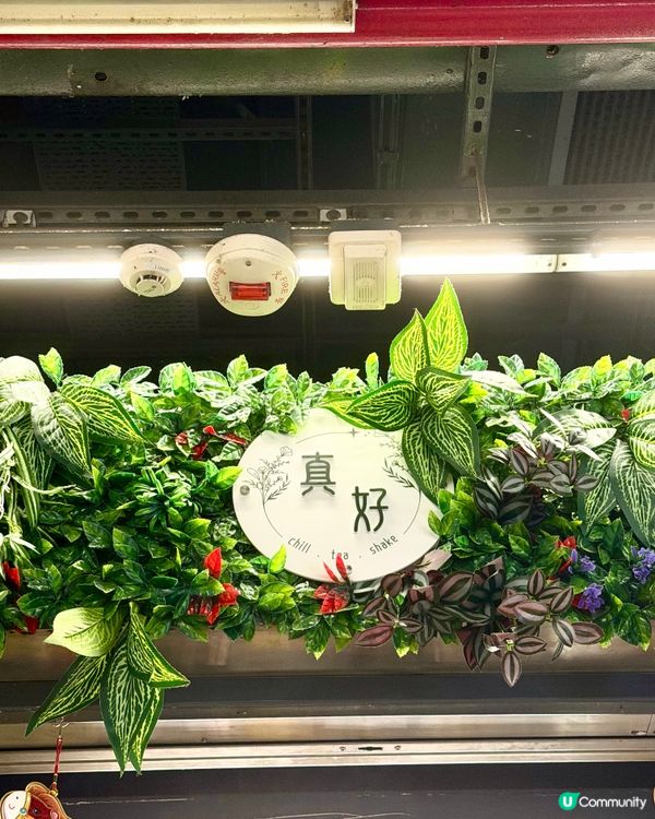 尖沙咀區高蛋白健康美食