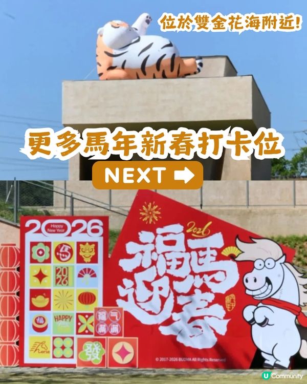 深圳南山區向日葵+油菜花花海🌻免門票打卡16.2公里綠道!                                    