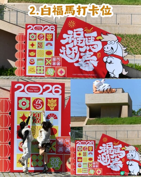 深圳南山區向日葵+油菜花花海🌻免門票打卡16.2公里綠道!                                    