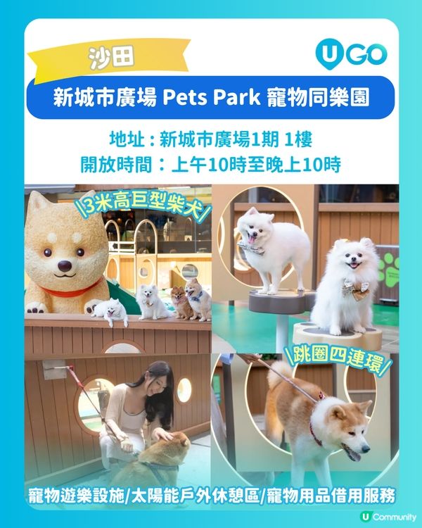 【毛孩放電必去】寵物好去處推介🐶