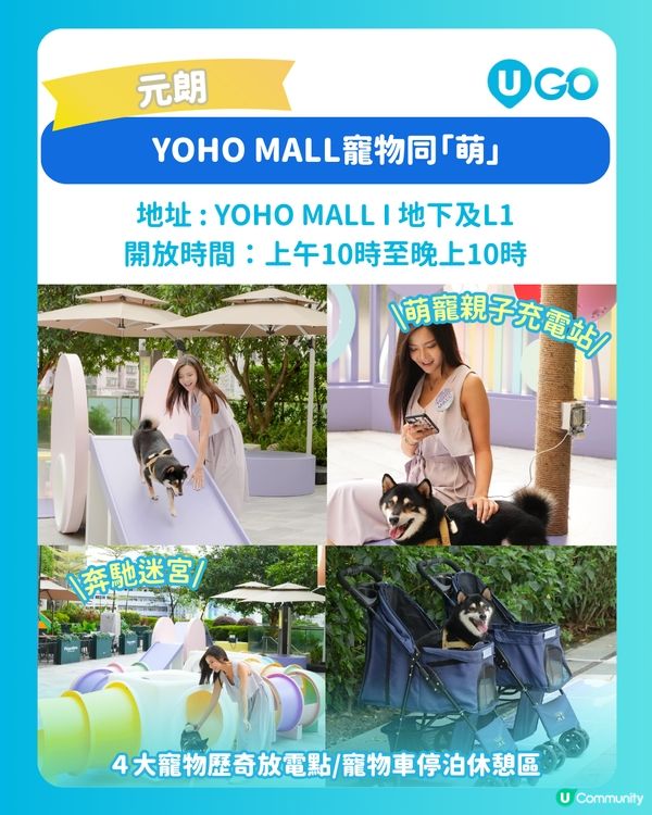 【毛孩放電必去】寵物好去處推介🐶