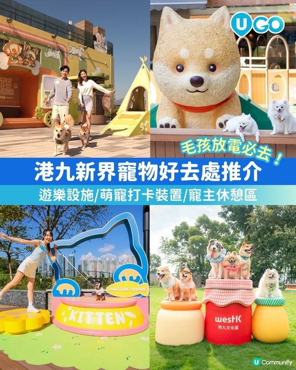 【毛孩放電必去】寵物好去處推介🐶