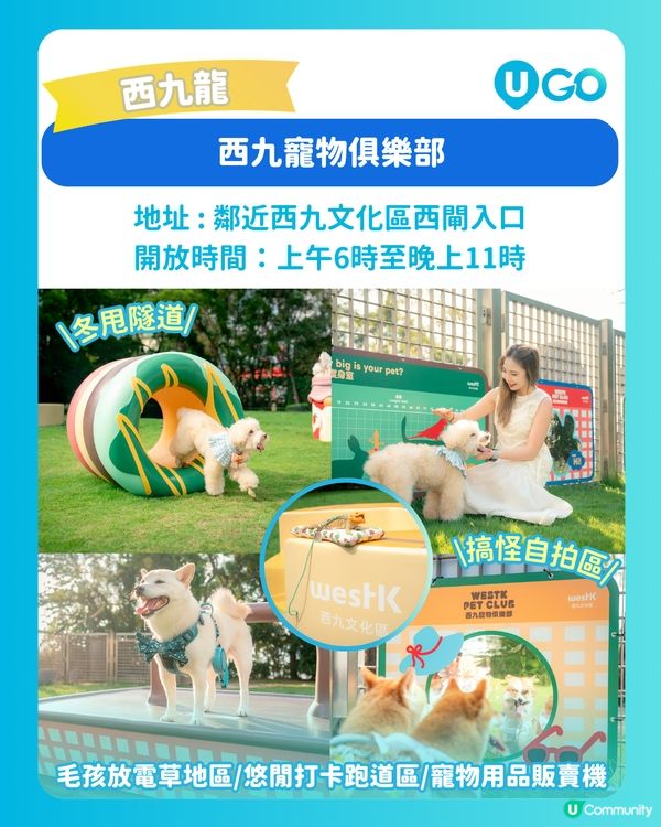 【毛孩放電必去】寵物好去處推介🐶