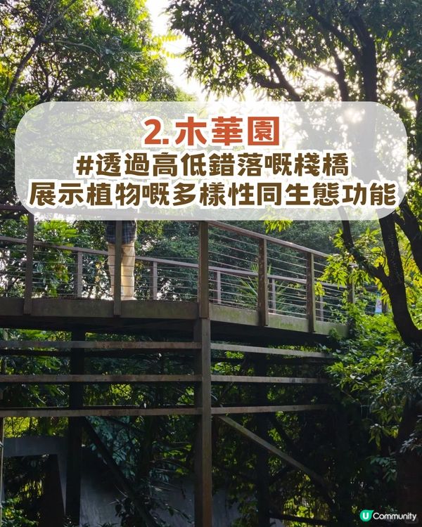 深圳南山隱世公園🔥免費入場！4大園區+5大打卡點