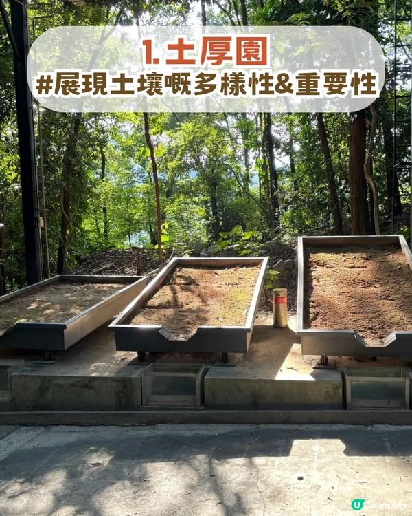深圳南山隱世公園🔥免費入場！4大園區+5大打卡點