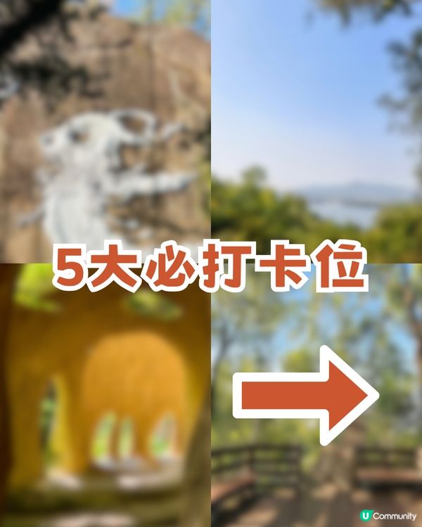 深圳南山隱世公園🔥免費入場！4大園區+5大打卡點
