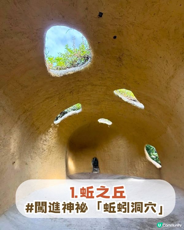 深圳南山隱世公園🔥免費入場！4大園區+5大打卡點