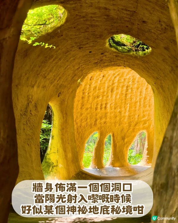 深圳南山隱世公園🔥免費入場！4大園區+5大打卡點