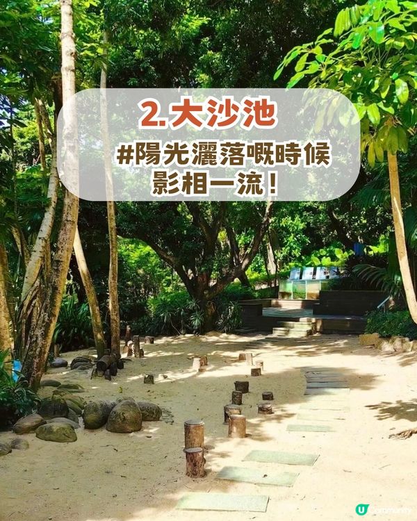 深圳南山隱世公園🔥免費入場！4大園區+5大打卡點