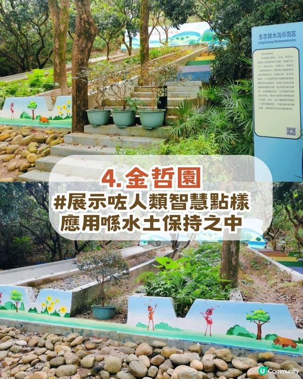 深圳南山隱世公園🔥免費入場！4大園區+5大打卡點