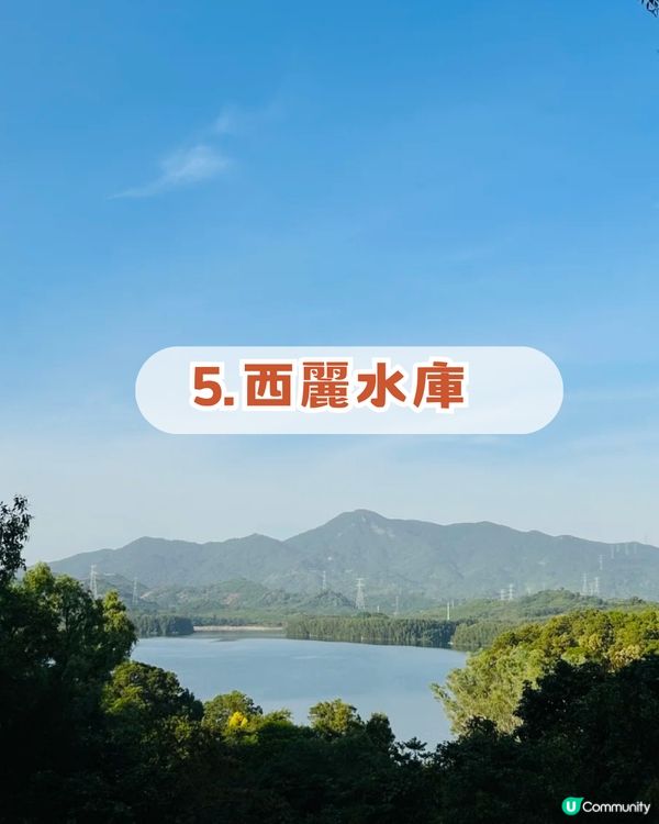 深圳南山隱世公園🔥免費入場！4大園區+5大打卡點