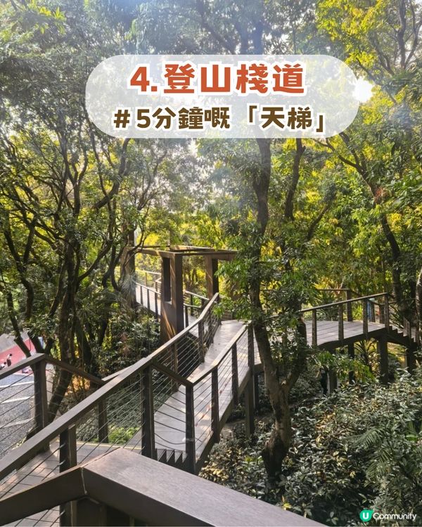 深圳南山隱世公園🔥免費入場！4大園區+5大打卡點