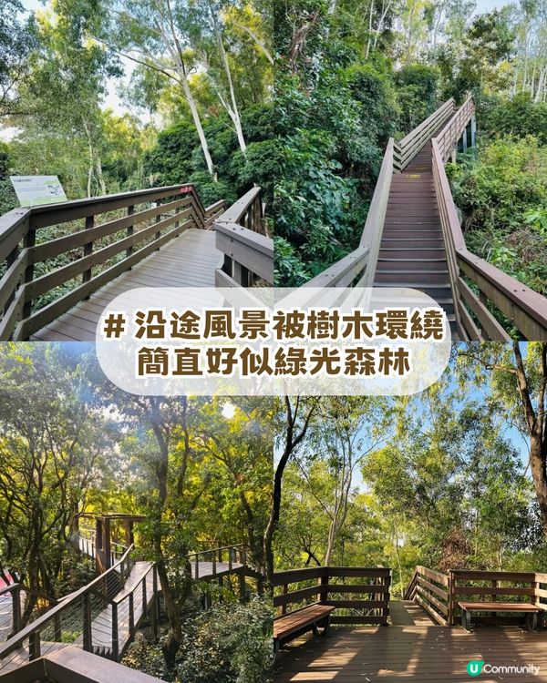 深圳南山隱世公園🔥免費入場！4大園區+5大打卡點