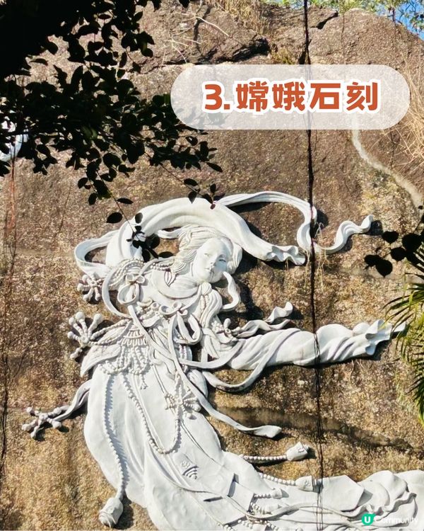 深圳南山隱世公園🔥免費入場！4大園區+5大打卡點