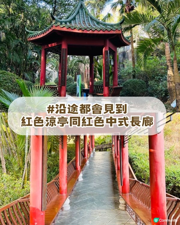 深圳南山隱世公園🔥免費入場！4大園區+5大打卡點