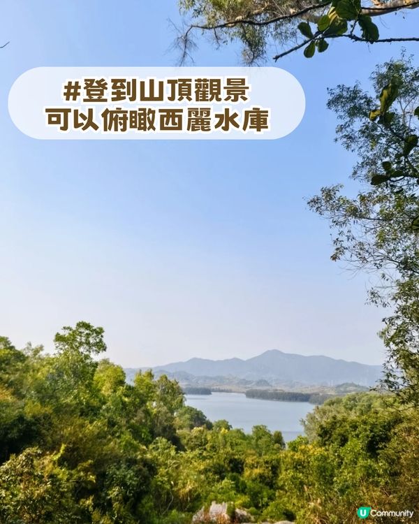 深圳南山隱世公園🔥免費入場！4大園區+5大打卡點