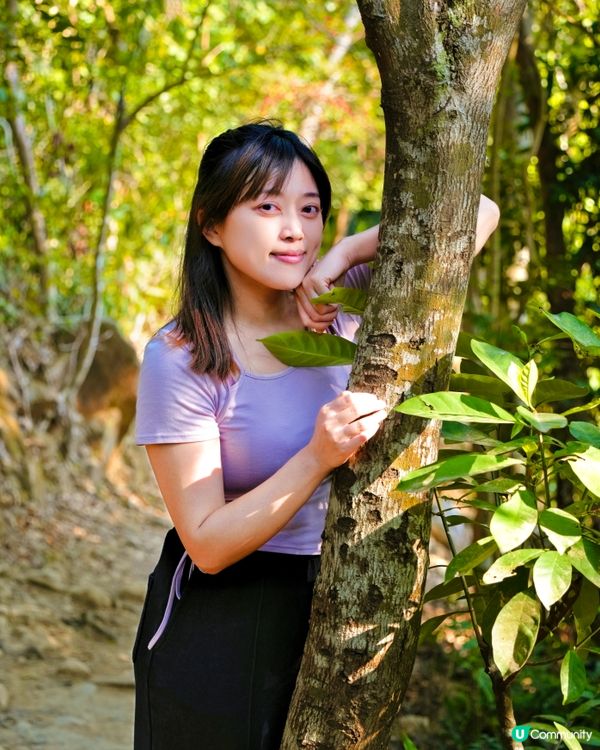 新年輕鬆山上遊