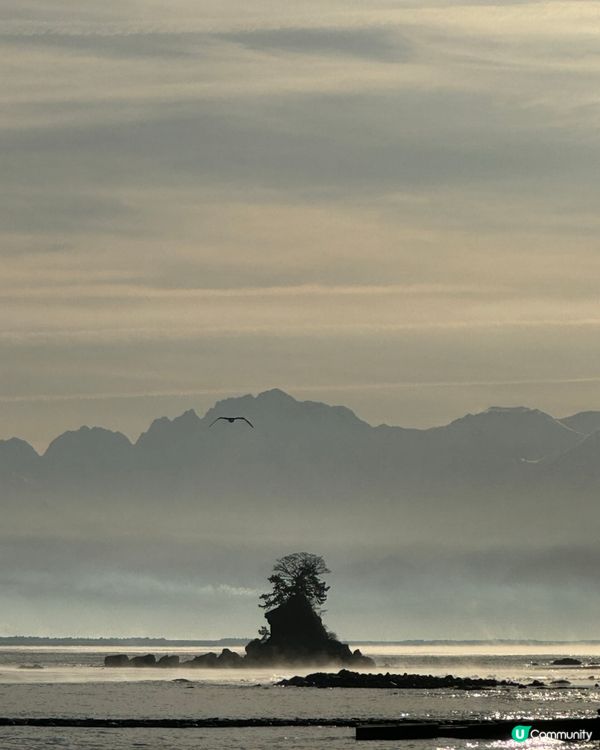 環遊日本🇯🇵｜富山高岡一日遊超詳細攻略🏔️