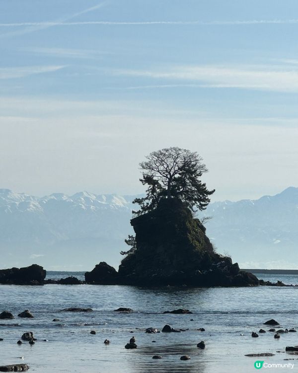 環遊日本🇯🇵｜富山高岡一日遊超詳細攻略🏔️