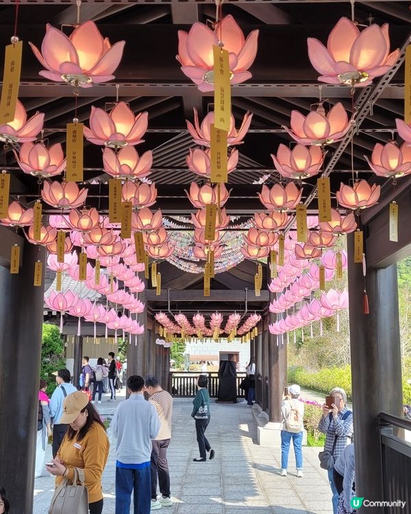 寧靜樂土慈山寺