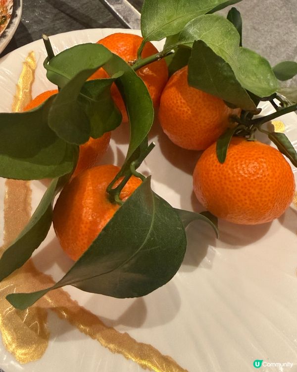 年初八上大陸去食飯，粵吉鮮海鮮，榴槤任食都係$168