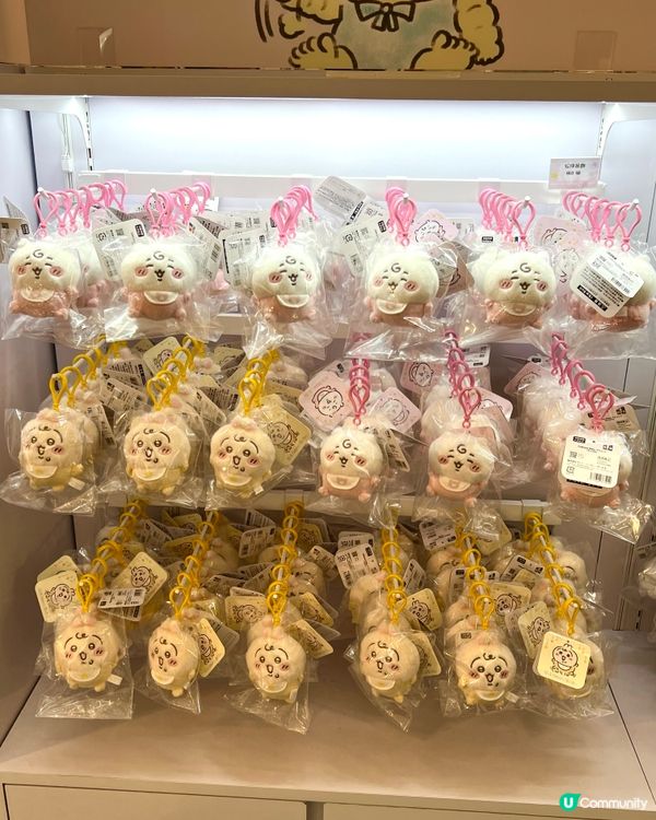 今天的快樂是Chikawa給的！唔使排隊🥰