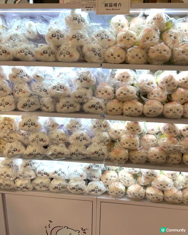 今天的快樂是Chikawa給的！唔使排隊🥰