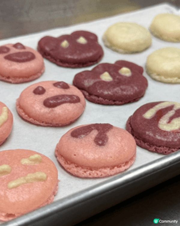 今日同囡囡去整馬卡龍，發揮創意，做了很多不同造型的馬卡龍，有...