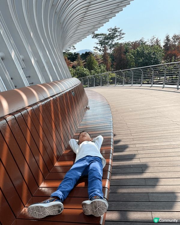 深圳南山區桂灣公園，非常適合親子遊玩影相！冬天的自然風景很美...