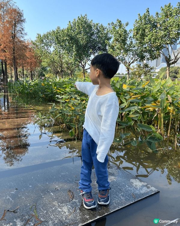 深圳南山區桂灣公園，非常適合親子遊玩影相！冬天的自然風景很美...