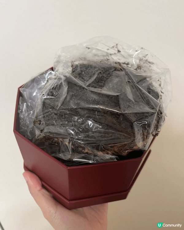 The Peninsula Hong Kong嘅Dark C...