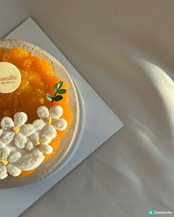 ✨日本日向夏蜜柑焙茶戚風蛋糕✨