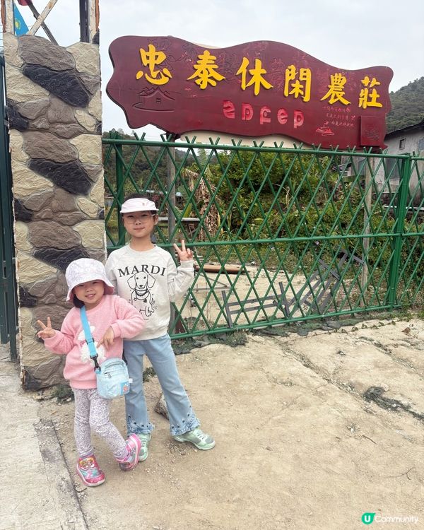 🍓 元朗摘士多啤梨