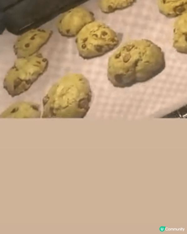 牛奶麵包，綠茶waffle, 軟心曲奇，千層麵包