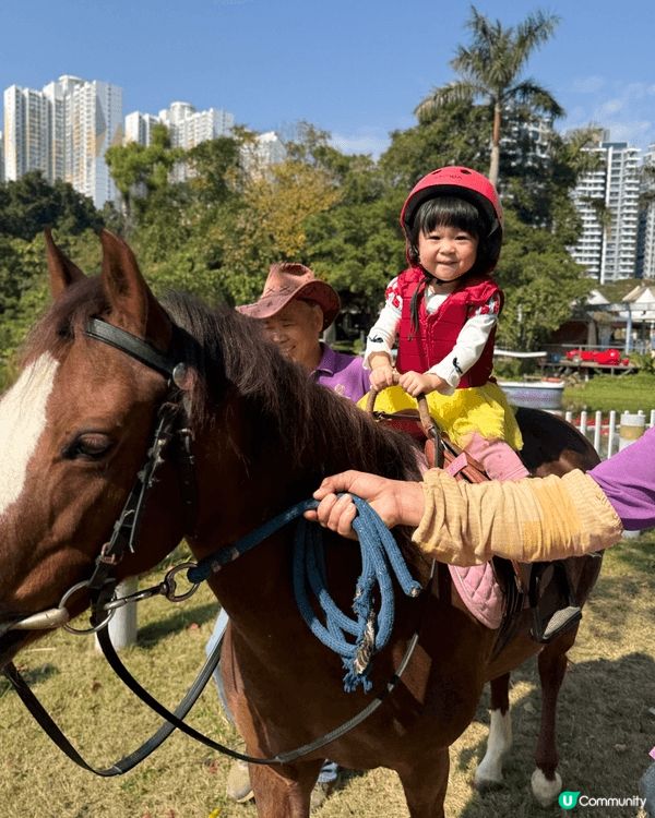 🌼 強烈推薦!大埔鳳園蝶豆花園 🌼