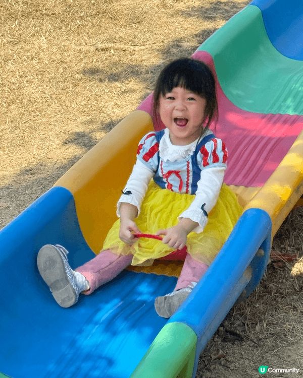 🌼 強烈推薦!大埔鳳園蝶豆花園 🌼