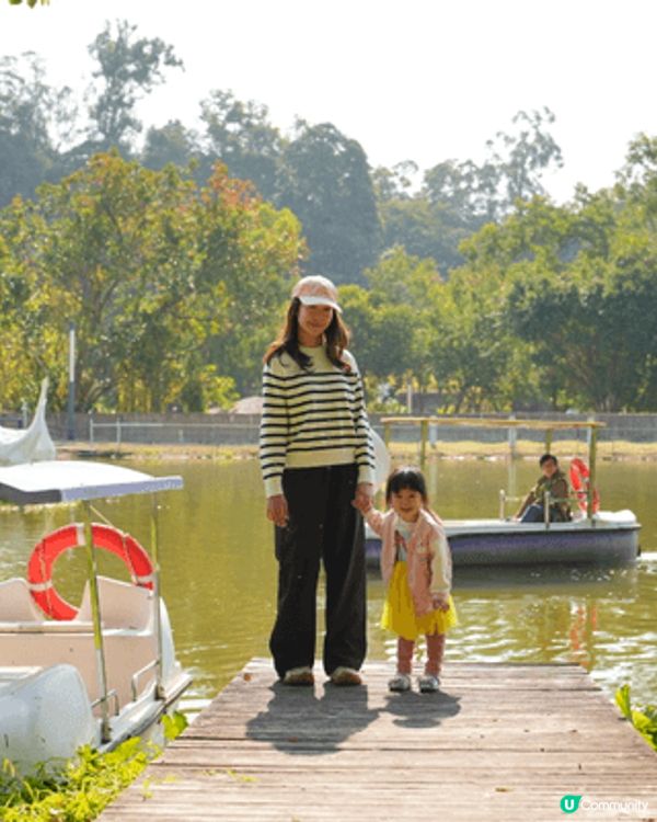 🌼 強烈推薦!大埔鳳園蝶豆花園 🌼