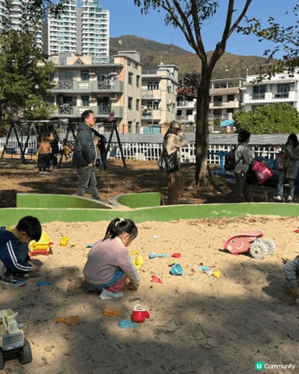 🌼 強烈推薦!大埔鳳園蝶豆花園 🌼